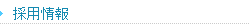�̗p���