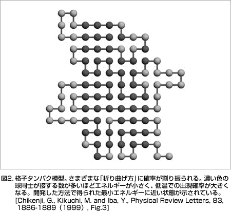 }3.iq^pN͌^B܂܂ȁu܂ȂvɊmUBZF̋mڂ鐔قǃGlM[Aቷł̏om傫ȂBJ@œꂽŏGlM[ɋ߂ԂĂB[Chikenji, G., Kikuchi, M. and Iba, Y., Physical Review Letters, 83, 1886-1889i1999j, Fig.3]