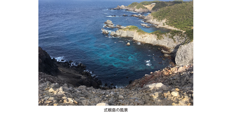 式根島の風景