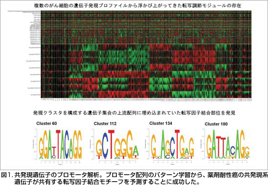 }1.`q̃v[^́Bv[^z̃p^[wKAܑϐ̋n`qL]ʈq`[t\邱Ƃɐ
B