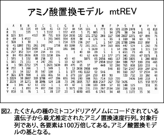 }2D ̎̃~gRhAQmɃR[hĂ`qŖސ肳ꂽA~muxsBΏۍsłAevf100{ĂBA~m_u
f̊ƂȂB