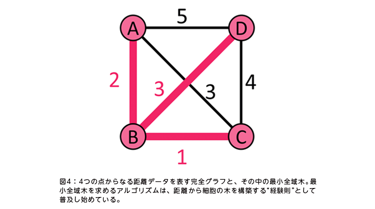 }4F4̓_Ȃ鋗f[^\SOtƁA̒̍ŏS؁BŏS؂߂ASÝAזE̖؂\zgohƂĕyn߂ĂB