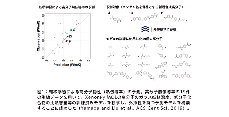 図1：転移学習による高分子物性（熱伝導率）の予測。高分子熱伝導率の19件の訓練データを用いて、XenonPy.MDLの高分子のガラス転移温度、低分子化合物の比熱容量等の訓練済みモデルを転移し、外挿性を持つ予測モデルを構築することに成功した（Yamada and Liu et al., ACS Cent Sci, 2019）。