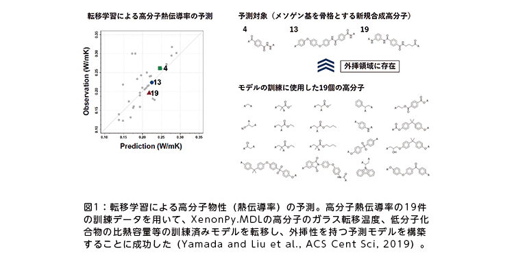 図1:転移学習による高分子物性(熱伝導率)の予測。高分子熱伝導率の19件の訓練データを用いて、XenonPy.MDLの高分子のガラス転移温度、低分子化合物の比熱容量等の訓練済みモデルを転移し、外挿性を持つ予測モデルを構築することに成功した(Yamada and Liu et al., ACS Cent Sci, 2019)。 図1:転移学習による高分子物性(熱伝導率)の予測。高分子熱伝導率の19件の訓練データを用いて、XenonPy.MDLの高分子のガラス転移温度、低分子化合物の比熱容量等の訓練済みモデルを転移し、外挿性を持つ予測モデルを構築することに成功した(Yamada and Liu et al., ACS Cent Sci, 2019)。