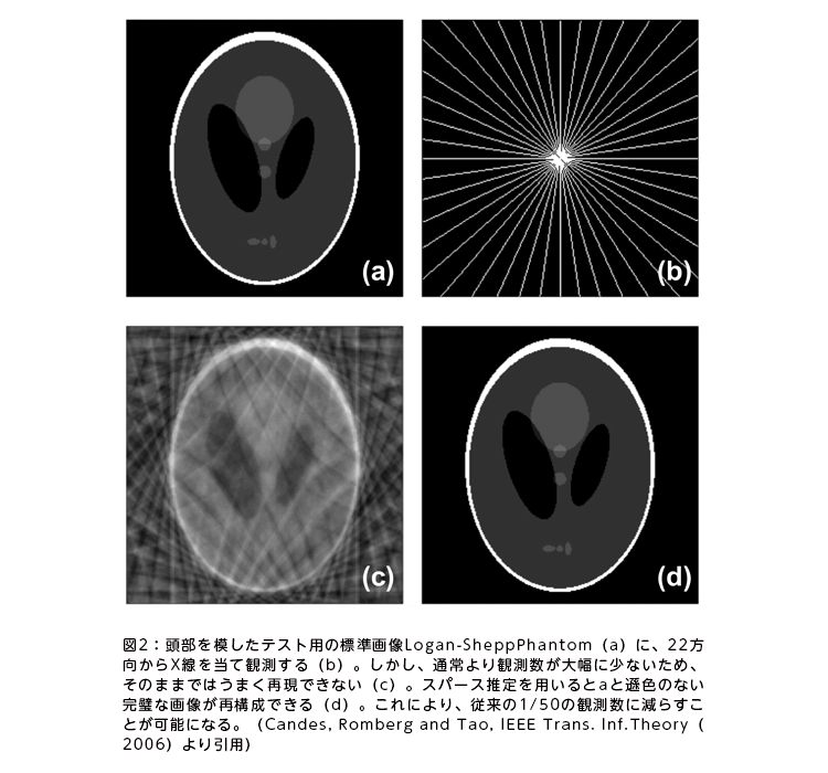 図2：頭部を模したテスト用の標準画像Logan-SheppPhantom（a）に、22方向からX線を当て観測する（b）。しかし、通常より観測数が大幅に少ないため、そのままではうまく再現できない（c）。スパース推定を用いるとaと遜色のない完璧な画像が再構成できる（d）。これにより、従来の1/50の観測数に減らすことが可能になる。（Candes, Romberg and Tao, IEEE Trans. Inf.Theory（2006）より引用）