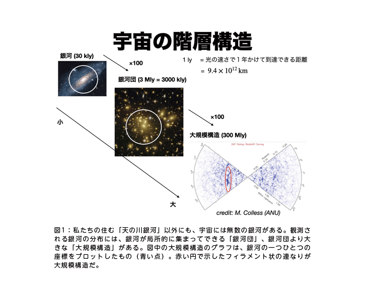 図1：私たちの住む「天の川銀河」以外にも、宇宙には無数の銀河がある。観測される銀河の分布には、銀河が局所的に集まってできる「銀河団」、銀河団より大きな「大規模構造」がある。図中の大規模構造のグラフは、銀河の一つひとつの座標をプロットしたもの（青い点）。赤い円で示したフィラメント状の連なりが大規模構造だ。