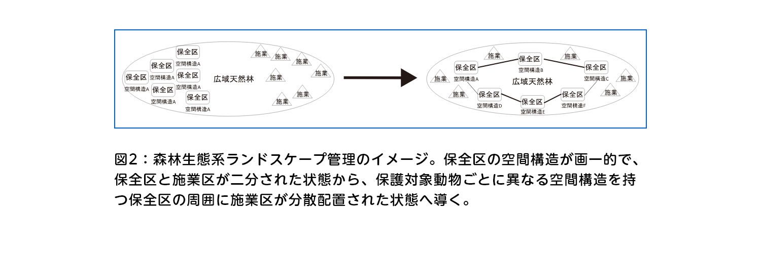 図2:森林生態系ランドスケープ管理のイメージ。保全区の空間構造が画一的で、保全区と施業区が二分された状態から、保護対象動物ごとに異なる空間構造を持つ保全区の周囲に施業区が分散配置された状態へ導く。 図2:森林生態系ランドスケープ管理のイメージ。保全区の空間構造が画一的で、保全区と施業区が二分された状態から、保護対象動物ごとに異なる空間構造を持つ保全区の周囲に施業区が分散配置された状態へ導く。