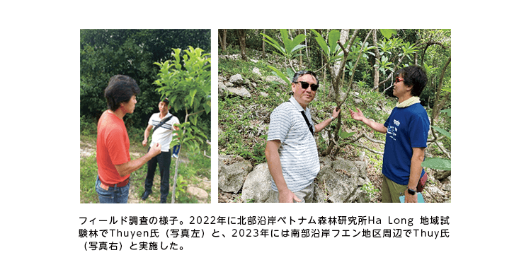 フィールド調査の様子。2022年に北部沿岸ベトナム森林研究所Ha Long地域試験林でThuyen氏(写真左)と、2023年には南部沿岸フエン地区周辺でThuy氏(写真右)と実施した。 フィールド調査の様子。2022年に北部沿岸ベトナム森林研究所Ha Long地域試験林でThuyen氏(写真左)と、2023年には南部沿岸フエン地区周辺でThuy氏(写真右)と実施した。