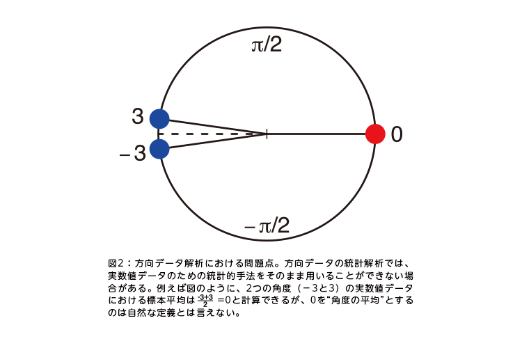 図2:方向データ解析における問題点。方向データの統計解析では、実数値データのための統計的手法をそのまま用いることができない場合がある。例えば図のように、2つの角度(-3と3)の実数値データにおける標本平均は(-3+3)/2=0と計算できるが、0を“角度の平均”とするのは自然な定義とは言えない。 図2:方向データ解析における問題点。方向データの統計解析では、実数値データのための統計的手法をそのまま用いることができない場合がある。例えば図のように、2つの角度(-3と3)の実数値データにおける標本平均は(-3+3)/2=0と計算できるが、0を“角度の平均”とするのは自然な定義とは言えない。