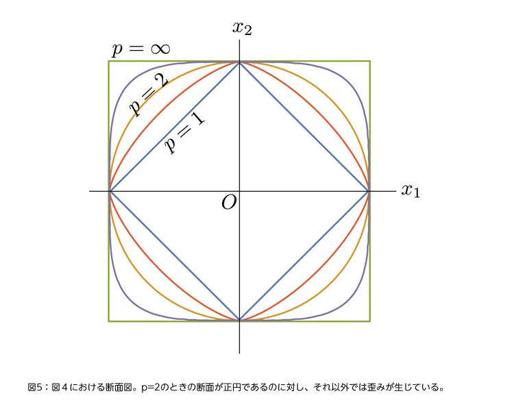 図5：図4における断面図。p=2のときの断面が正円であるのに対し、それ以外では歪みが生じている。