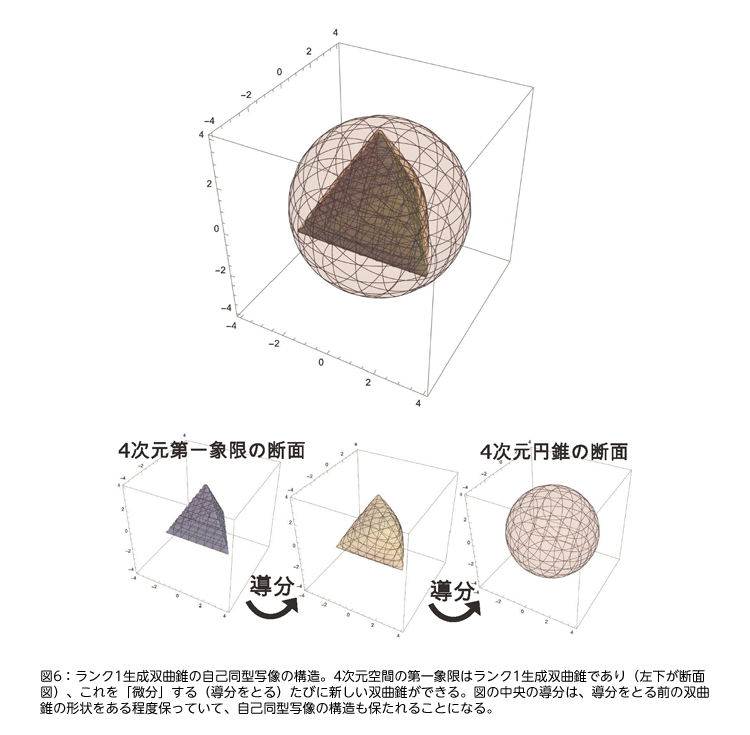 図6：ランク1生成双曲錐の自己同型写像の構造。4次元空間の第一象限はランク1生成双曲錐であり（左下が断面図）、これを「微分」する（導分をとる）たびに新しい双曲錐ができる。図の中央の導分は、導分をとる前の双曲錐の形状をある程度保っていて、自己同型写像の構造も保たれることになる。