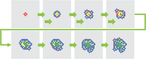 Cellular Automaton Model:害虫の拡散を表すモデルを用いて防止政策適用箇所最適解探求。