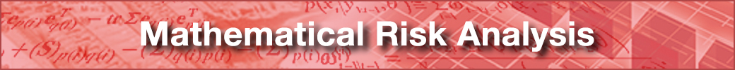 Data Infrastructure for Risk Analysis