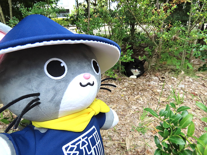 こんにちは！