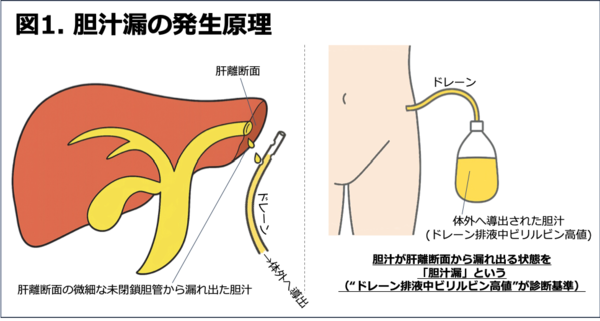 fig1.png