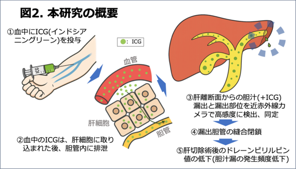 fig2.png