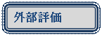 lp`: pۂ: STAR-E